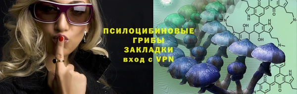 сатива Алексин