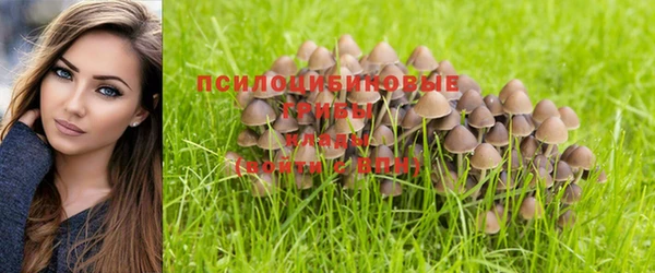 соль ск Алзамай