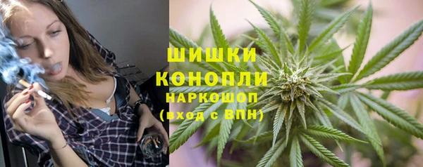 соль ск Алзамай