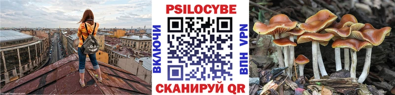 купить наркоту  Артёмовск  Галлюциногенные грибы мицелий 